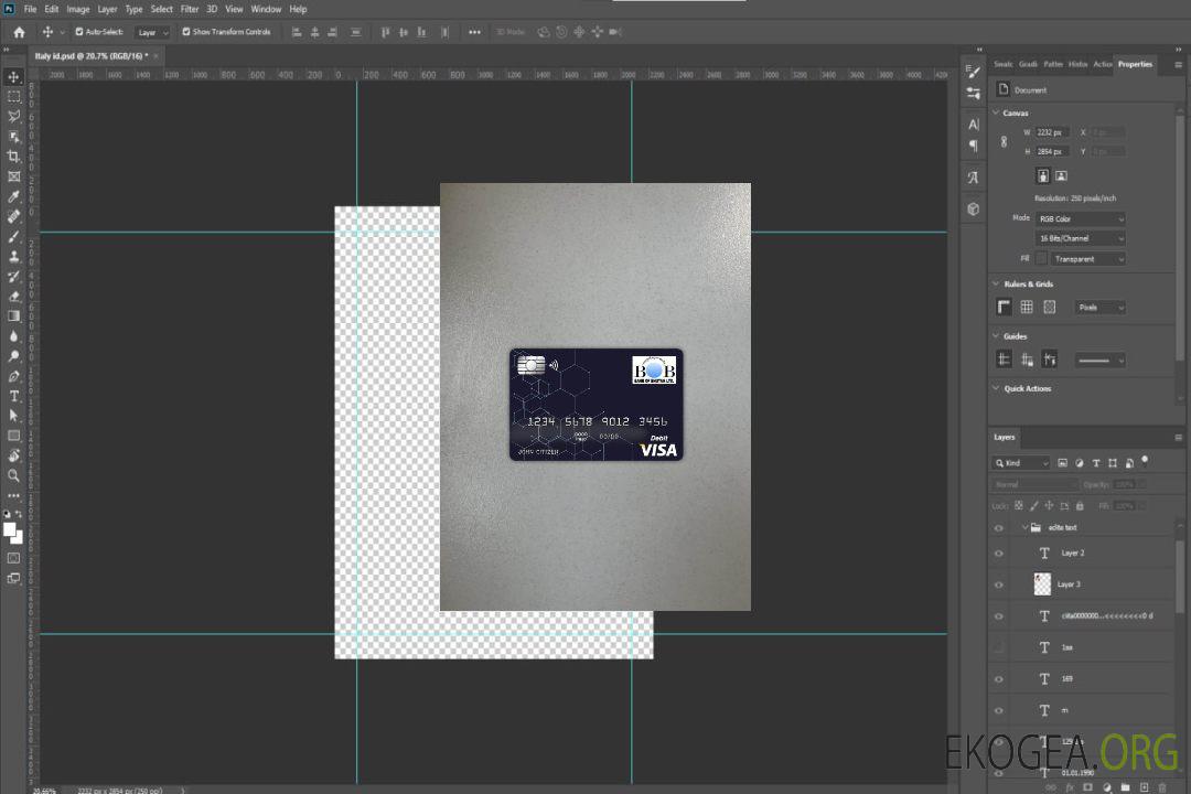 Photolook de la carte visa de la Banque du Bhoutan du Bhoutan template Photolook de la carte visa de la Banque du Bhoutan du Bhoutan template